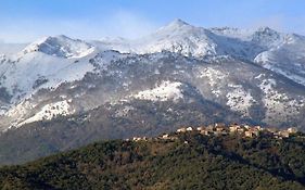 Casa Bonino